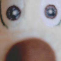 わんわん