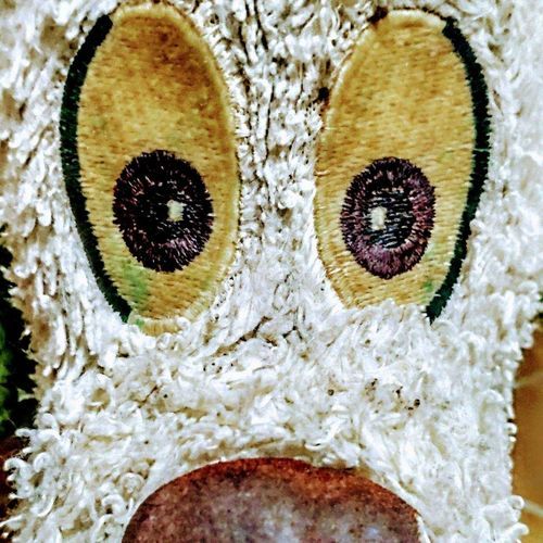 よいこのみんなへ
見てるよ
わんわんより
