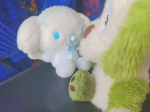 わんわん「はじめまして！」
シナモン「はじめまして〜」
わんわん「おともだち？」
シナモン「今日からね♪」