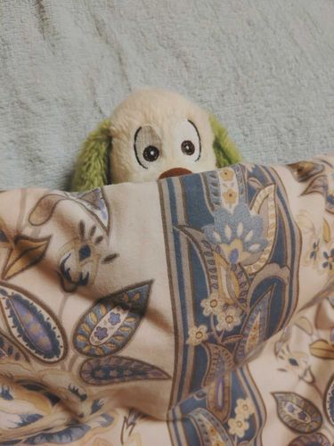 おふとんぬくぬくだ〜！
それじゃあみんな、おやすみ〜！またあしたね〜！