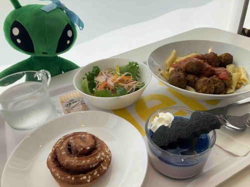 お誕生日祝いに故郷に連れてってもらった🎉
プリンの上にあるコウモリクッキー、すごく美味しかったから単品で売ってほしいなぁ🦇✨
