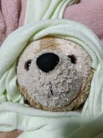 もちもちだっふぃー