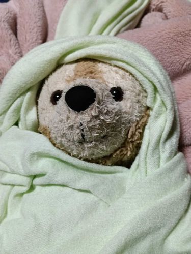 かいぬしにやられた。かいぬしぼくよりもねんれいした。