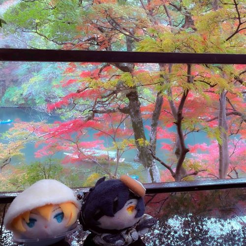 紅葉綺麗だったね
