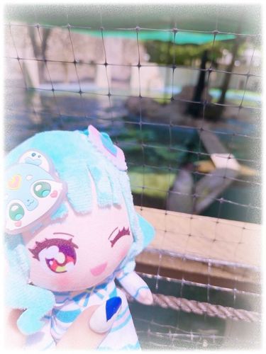 ペンギンさんもリリアンちゃんもかわいいね(•ө•)♡