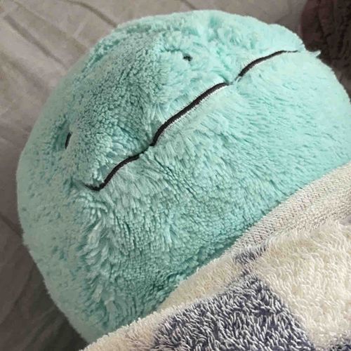 ふわふわのかに🦀と時々おともだちのアカウント