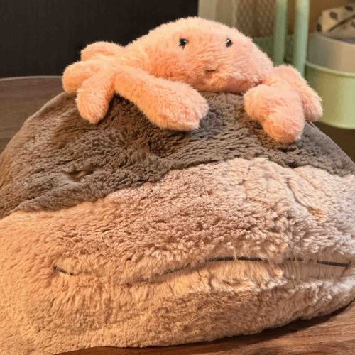 意図せずふわぬお単体の画像をのっけちゃったけど、ふわかにの日常を載せていくよ🦀