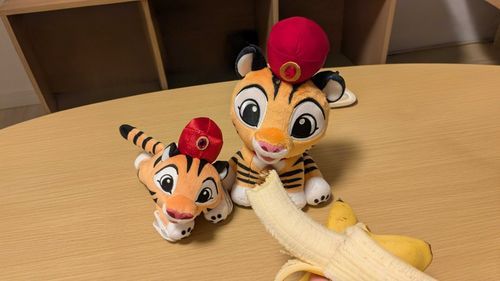 好物のバナナ🍌