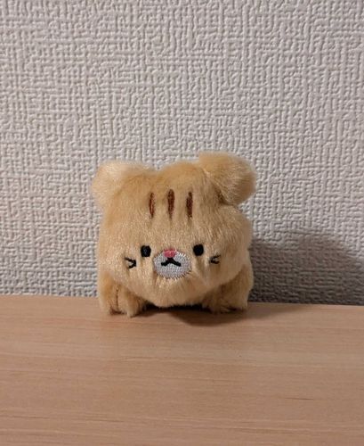新入りの『こむぎ』です！
よろしくお願いします🐾