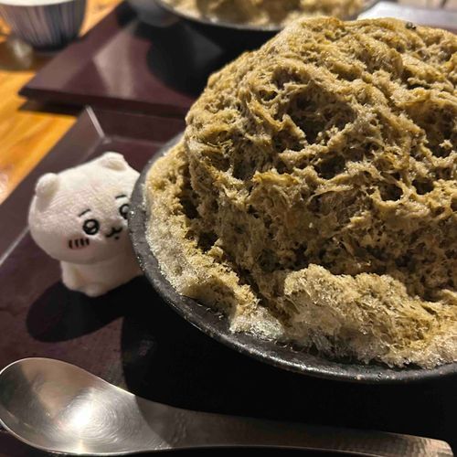 「山」だね