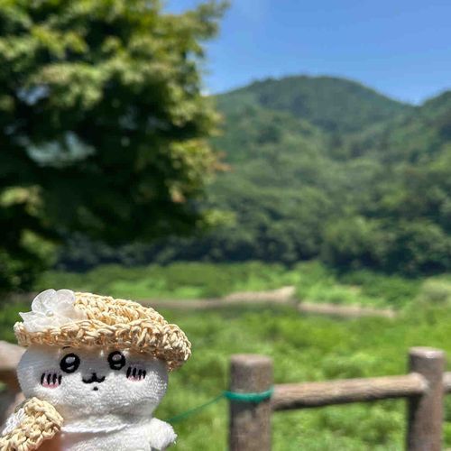 夏だね!