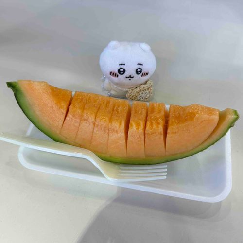メロンを食べたよ！しばらく食べ終わった皮に乗って小樽川をくだったよ