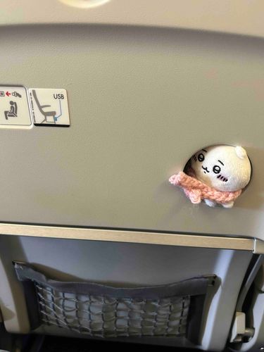収まりが良くて落ち着くらしい