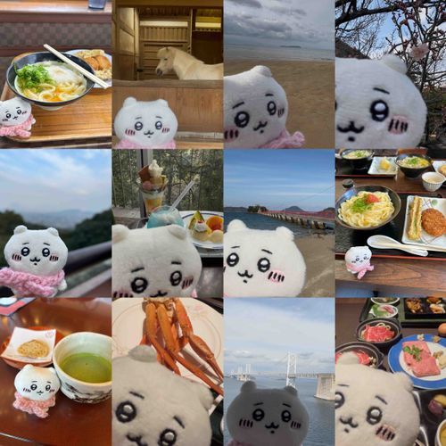 うどん王国に旅行に行ってきたよ〜✈️基本的にカメラに近い‼️