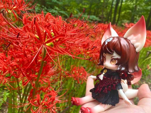 綺麗だね