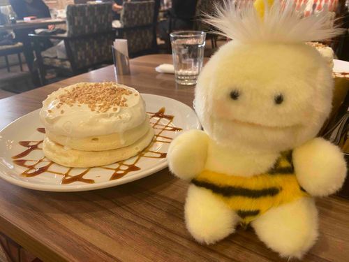 かみつれと申します🥞