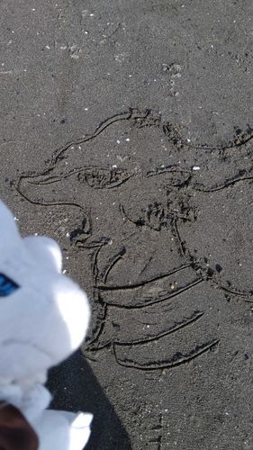 そういえば複数画像投稿ってどうやるんだろ…
