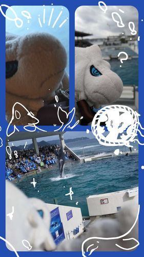 𓆟𓆝𓆞𓆟𓆝𓆞
あんまり画像無くて失礼！！チャームがないのでずっと鞄にしまってたから少なかったのです！！