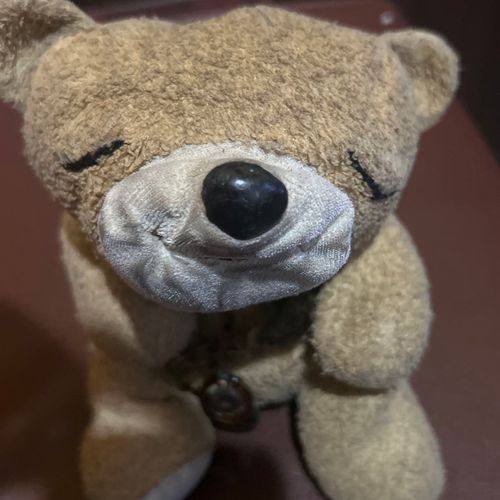 僕と同じクマが居たらうれしいな
22年前にブルドッグ？という雑貨屋で買われたみたいなんだ。それ以外のお友達も歓迎だよ。