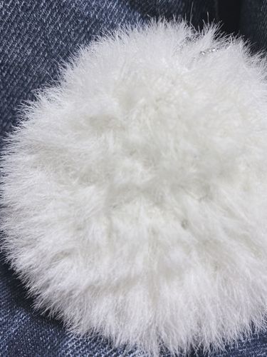 後ろ姿がほんとうにおにぎりだ……………………