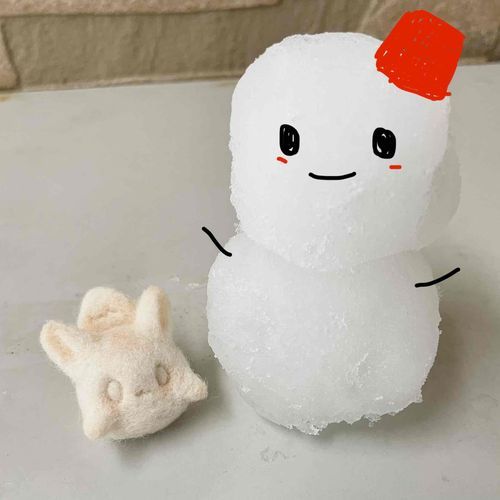 冬だけのおともだち⛄️‎🤍