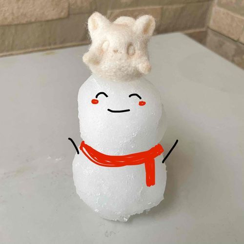 雪だるまさんのあたまのうえにのせてもらったんだって❕
おててふってるみたいでかわいいね👋🏻🤍