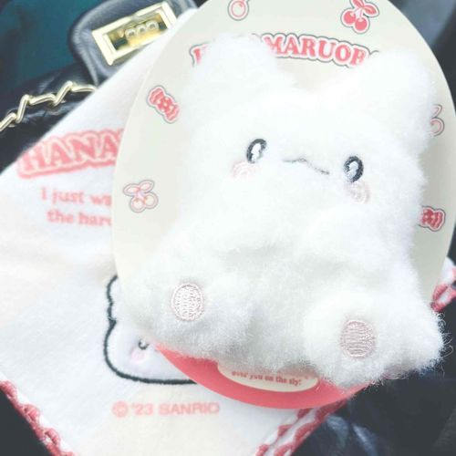はなまるおばけ💮👻
お迎えしたの❕
ふわふわもこもこきゅーとなの‎🤍