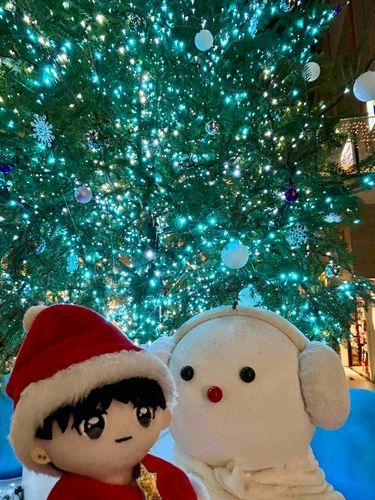 たけちー、雪だるまだよ
雪だるま、たけちーだよ