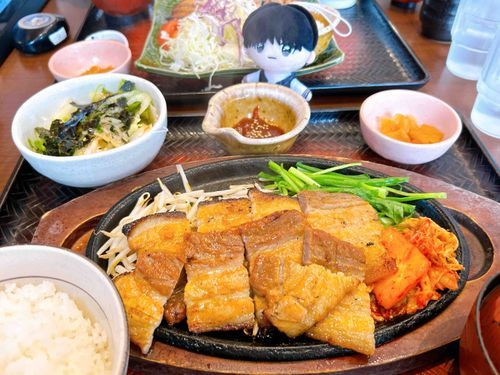 サムギョプサルの湯気がかかりまくるたける