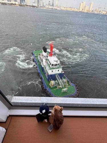 タグボートは魁さんと黒部丸さんの二隻が船を大桟橋に向かって押してました🛳️