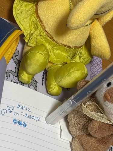 飛鳥Ⅱで手に入れたブランドカラーのインクで文字を書いたよ。
ボールペンや万年筆のインクでよくあるブルーブラックよりは青。
うちの人は手帳メモに使っています。
飛鳥のオンラインショップでも買えます🫟
