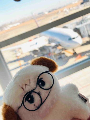 ✈️だいすきなひとに あいにいくよ🎂