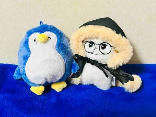 あたらしい おともだちの ぺんちゃんだよ〜🐧♡