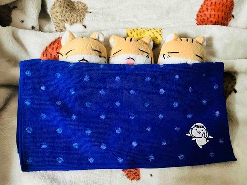✈️そらっちの たおるで おやすみなさ〜いᶻᶻᶻ﻿