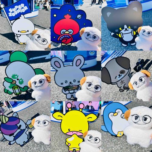 ✨️🐥🦚🐈‍⬛🐼🐰🐶🦄🦒🐧✨️
