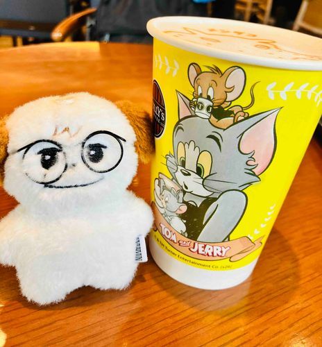 🐱とむとじぇりー🐭