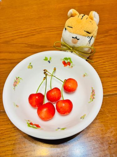さくらんぼぶ🍒´-