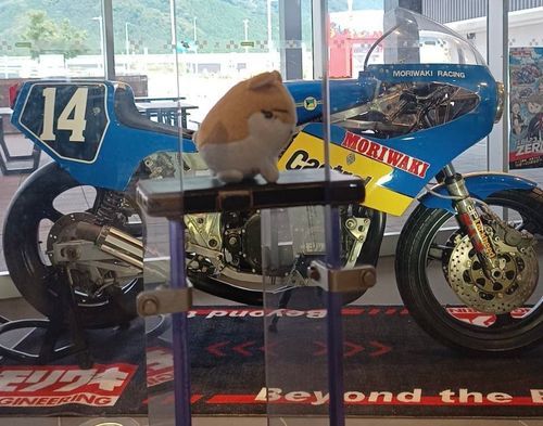 ぶーん ぶーーーん🏍³₃