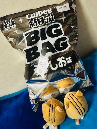 こんそめも のりしおも すきだけど
やっぱり うすしおがいちばんすき〜ෆ˚*