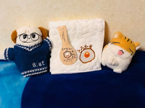 おかあさんが おようふくと たおる かってくれたよ👕🍳 𓈒𓂂𓏸