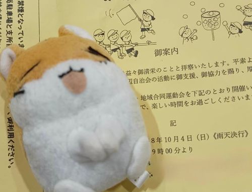 うんどうかい したよ〜🏅✨
しゃしん ちょっと しっぱい しちゃった💦
