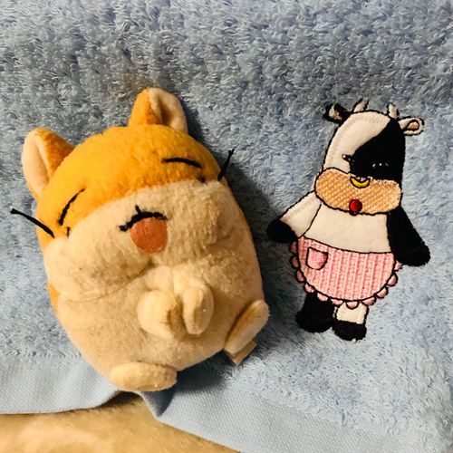 ばんこさんの たおるだよ〜✧*｡