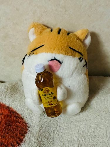 ごごてぃー🫧🫖