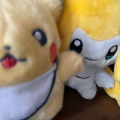 おともだちと　いっしょだよ（ ◍╹ω╹◍ ）