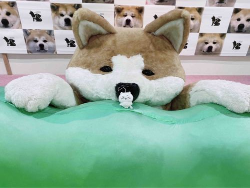 🐕 💗