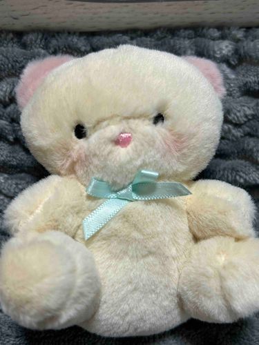 ほかのぬいちゃんにも、チーク入れた！明るくなって良き！