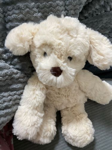 仲間になったいーたんです。
伊勢丹で出会ったから、いーたんにしました。ふわふわです。