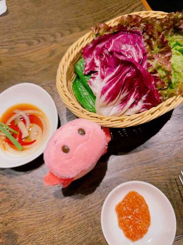 どうしてサムギョプサルの付け合せに私を並べたんですか…？