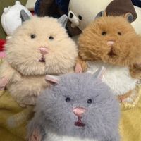 ごまきち🐹もちきち🐹こなきち🐹