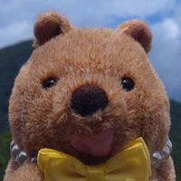 まんぼ